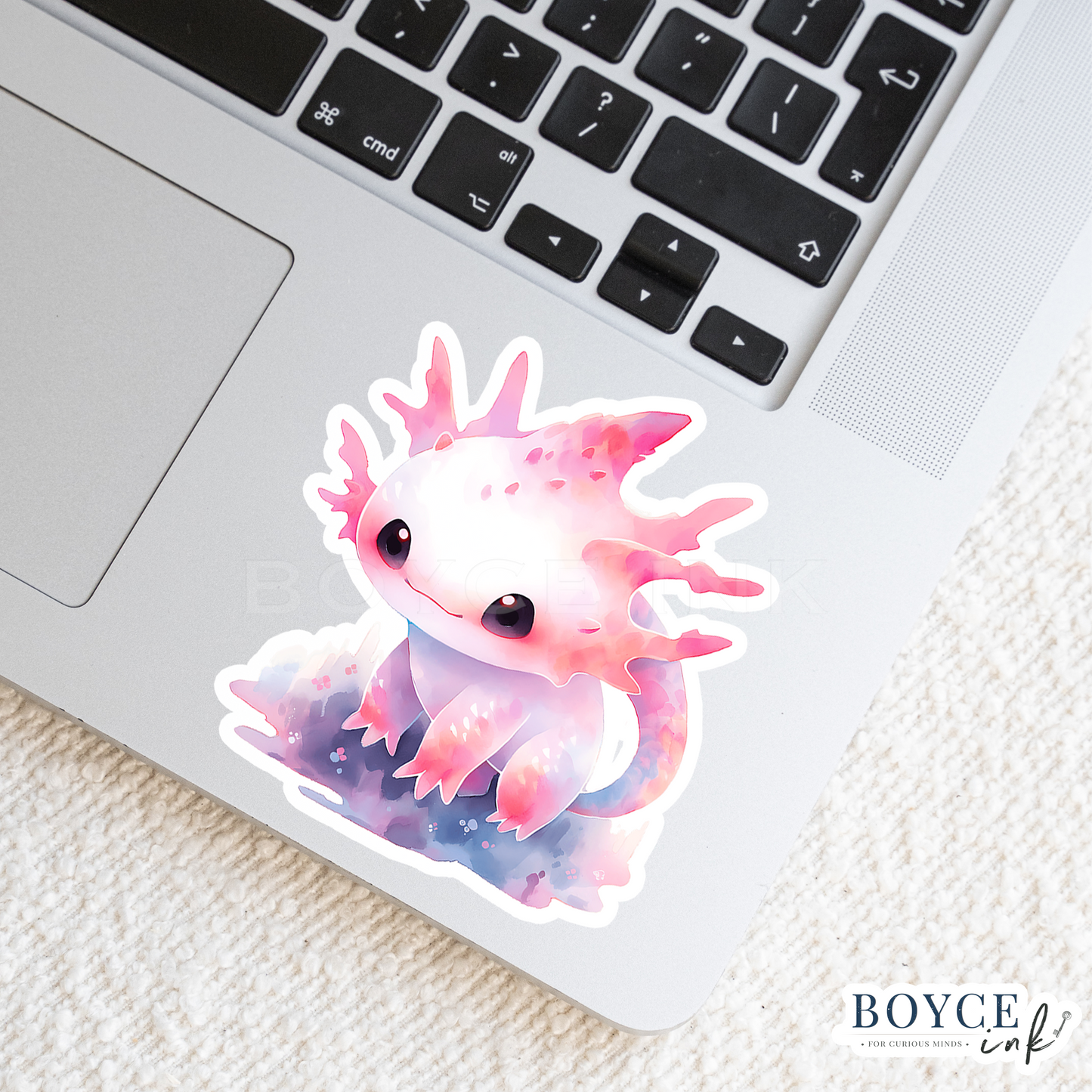 3" Sticker | Cute Axolotl