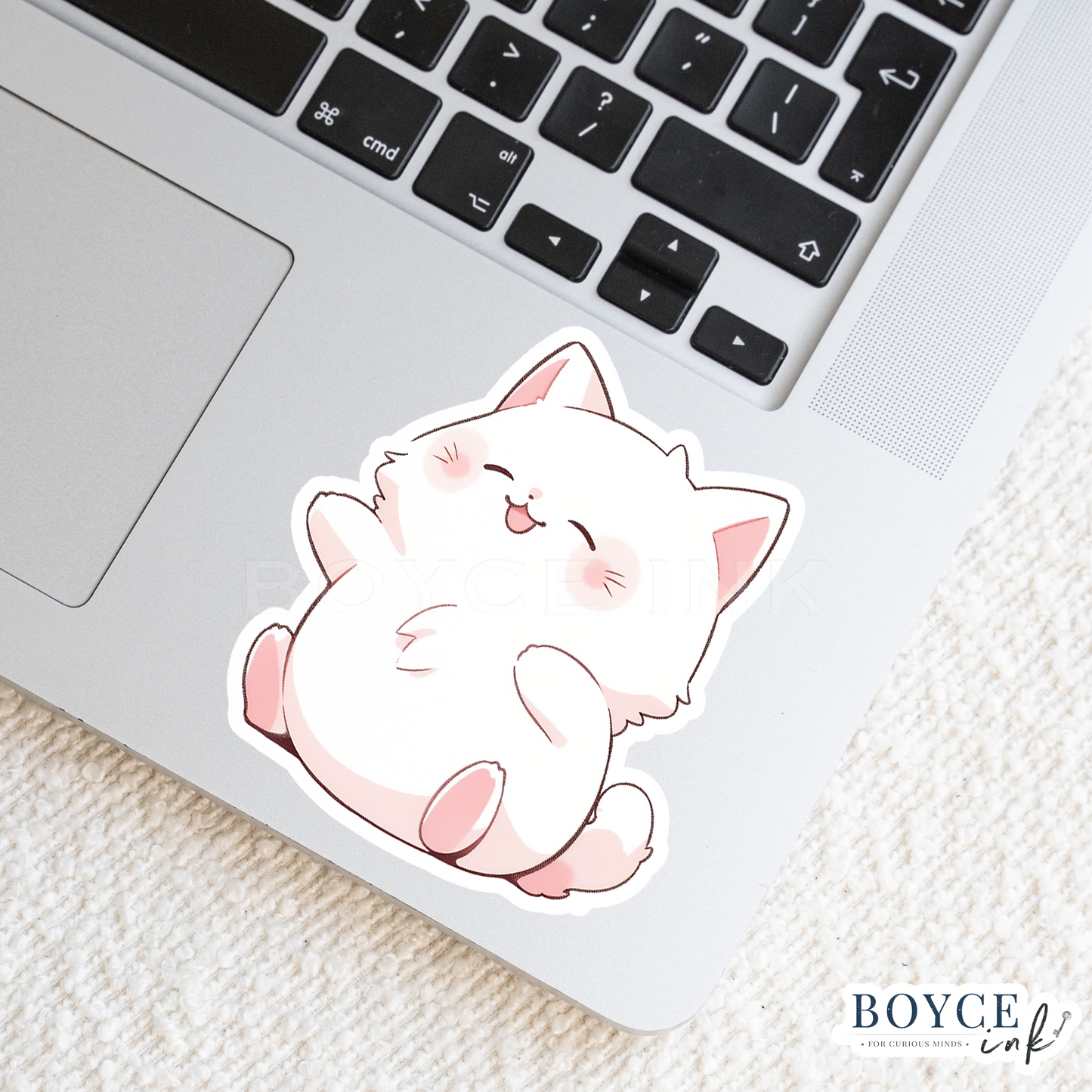 3" Sticker | Adorable Kitten